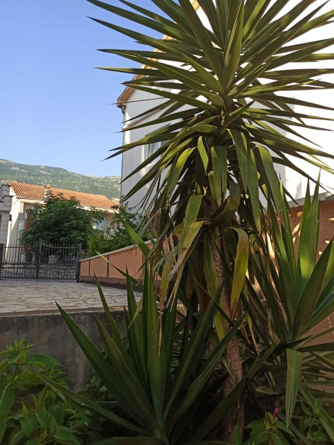 Apartments Parapid Budva Eksteriør bilde