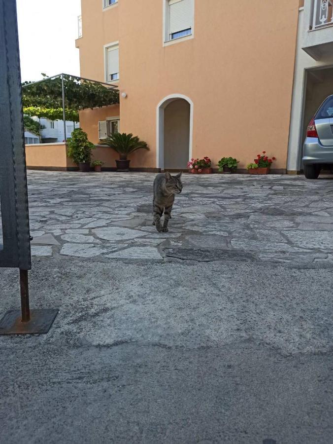 Apartments Parapid Budva Eksteriør bilde